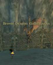 Brown Dragon Galkyuaran